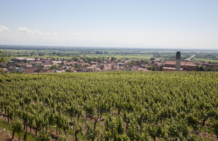 pfaffenheim2Panoramaweb.jpg